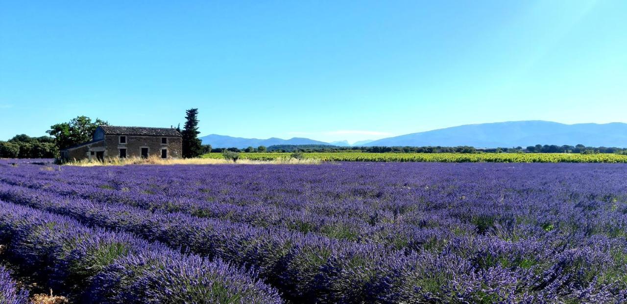 L'Instant Provence Villa Valreas Ngoại thất bức ảnh